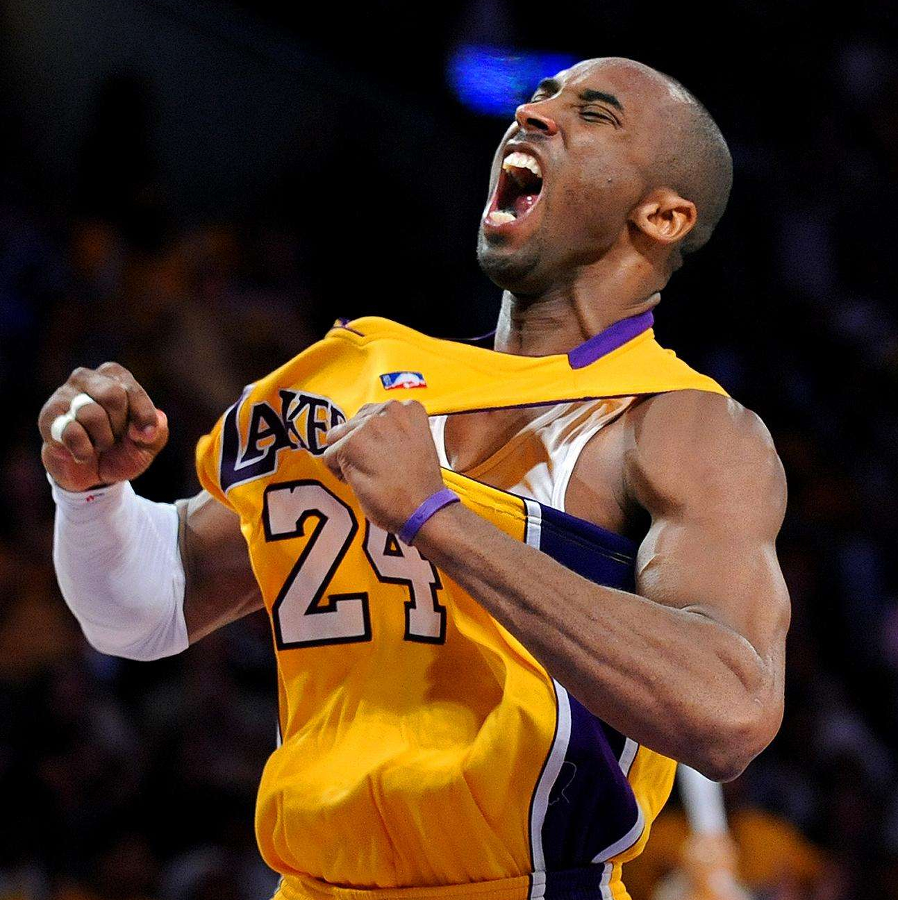 的二次创造 的二次创造