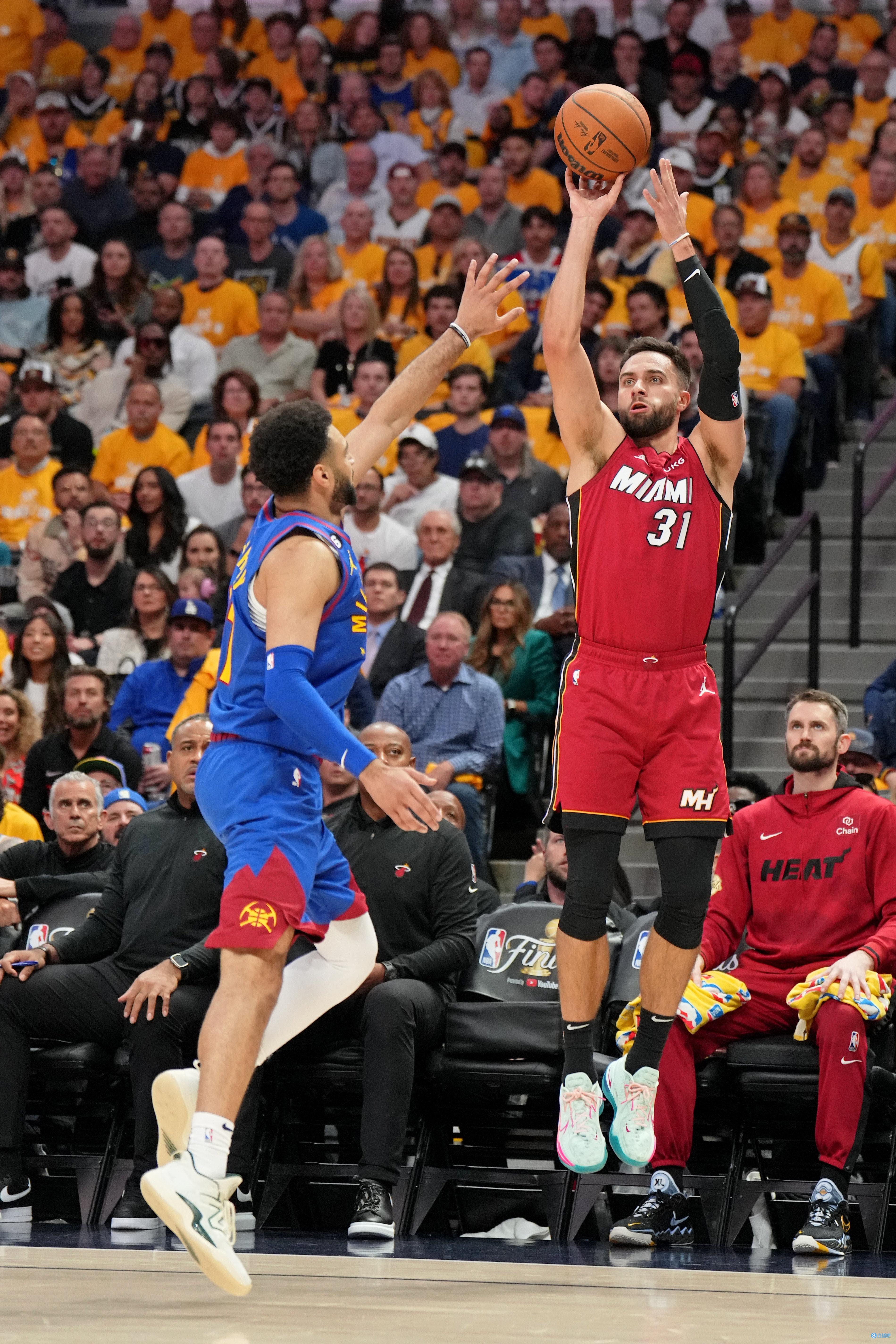 面对黄蜂外 面对黄蜂外